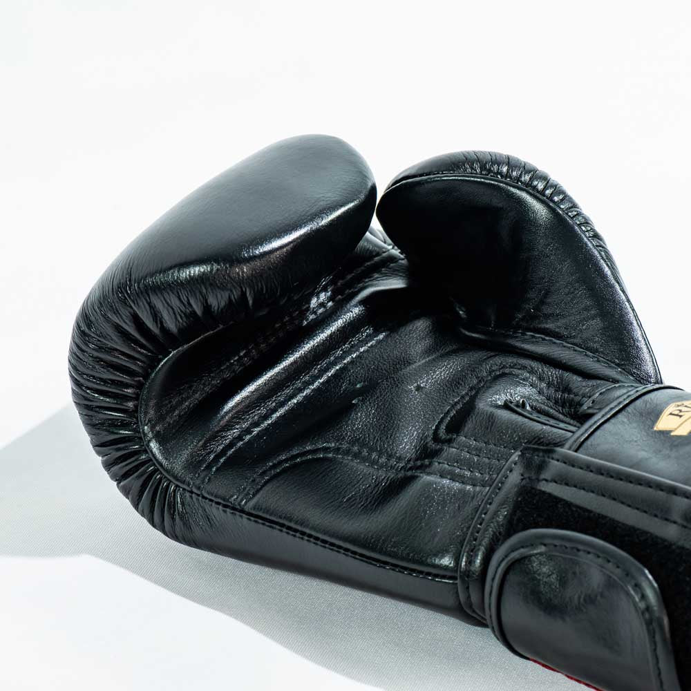 Raja Standard Gloves (Black)