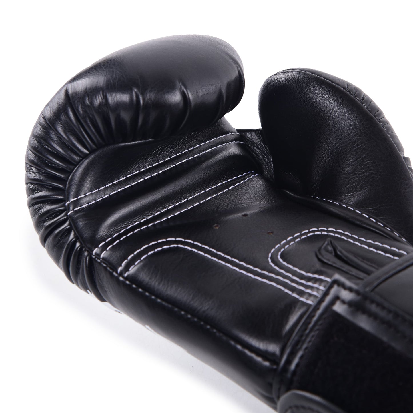 Raja V4 Boxing Gloves (Black)