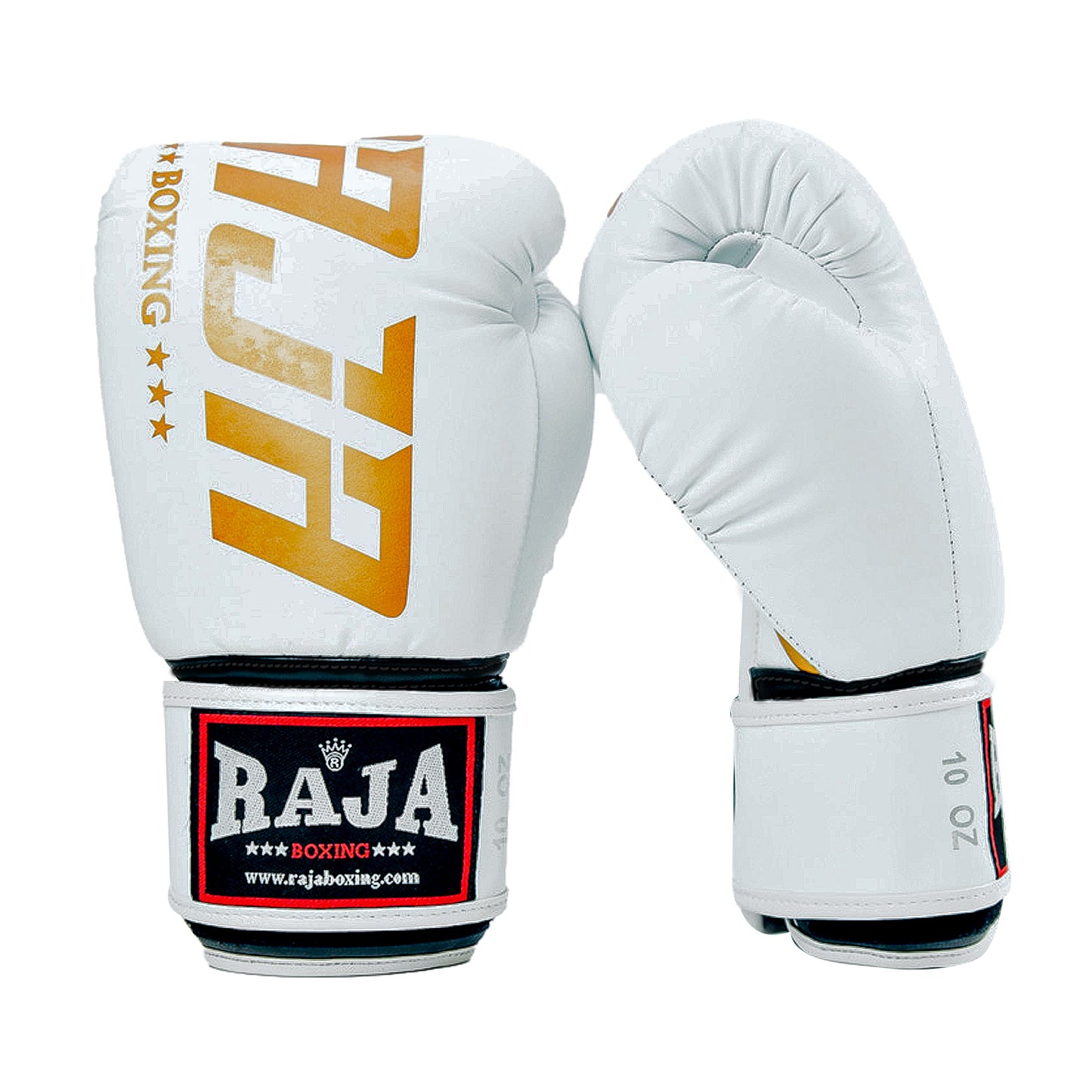 Raja V2 Boxing Gloves (White)